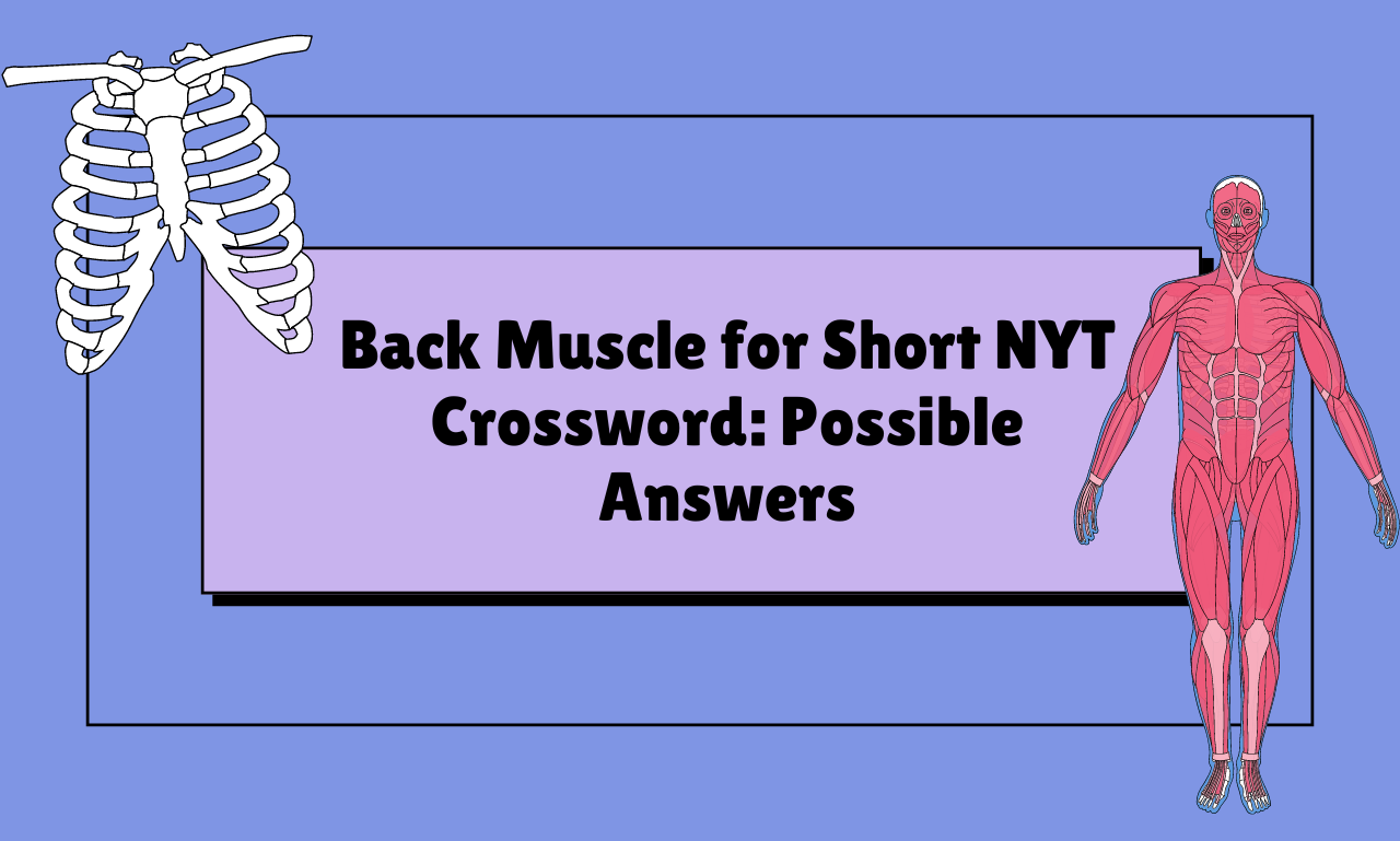 Back Muscle for Short NYT Crossword