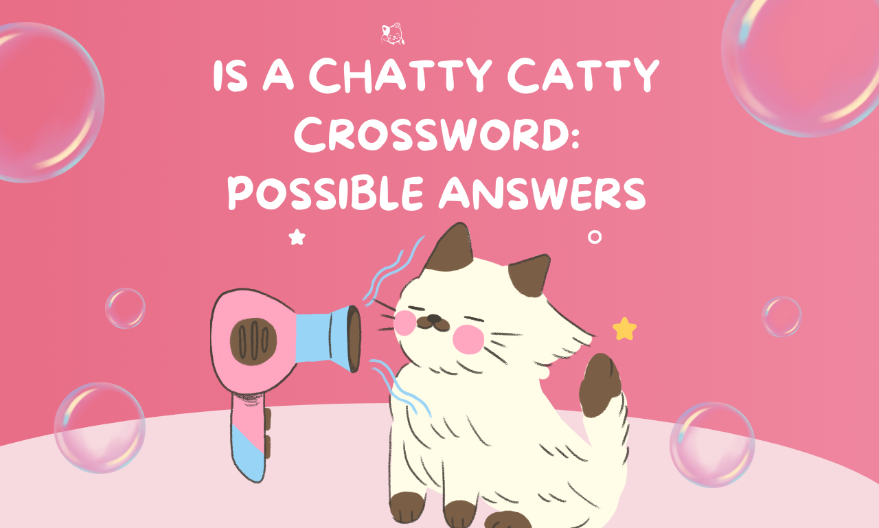 is a chatty catty crossword