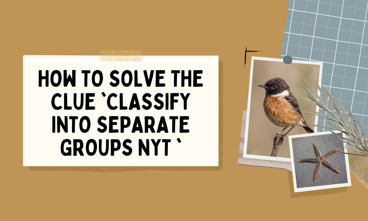 classify into separate groups nyt