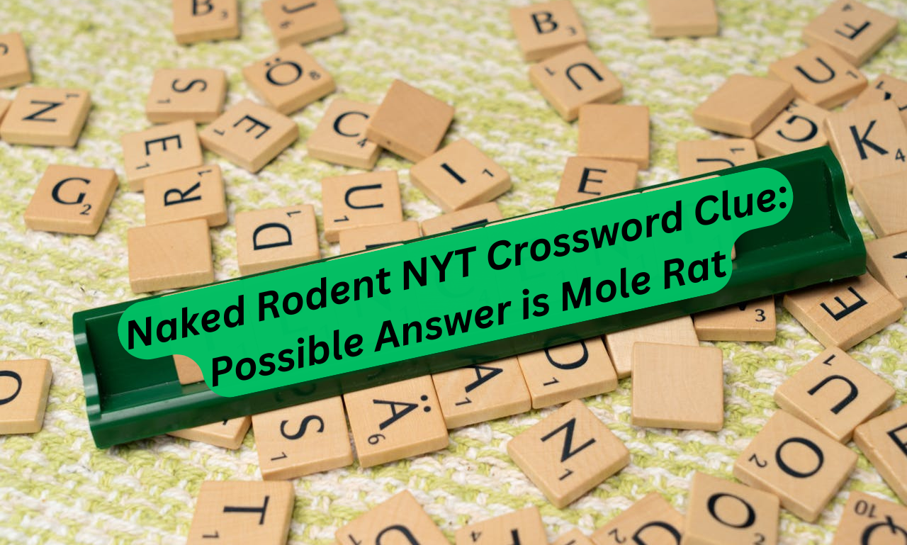 naked rodent nyt crossword clue