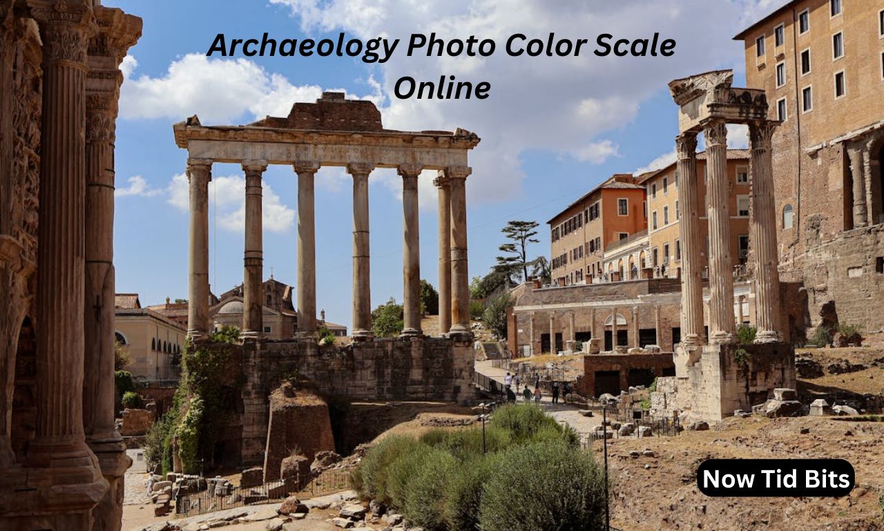 archaeology photo color scale online